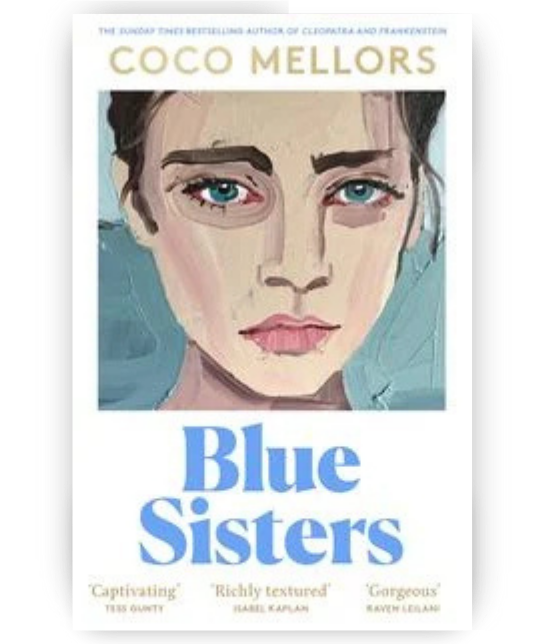 Blue Sister, Roman, Fantasy Buch, neue Reihe, Bücherhafen, englisches Buch, Bestseller